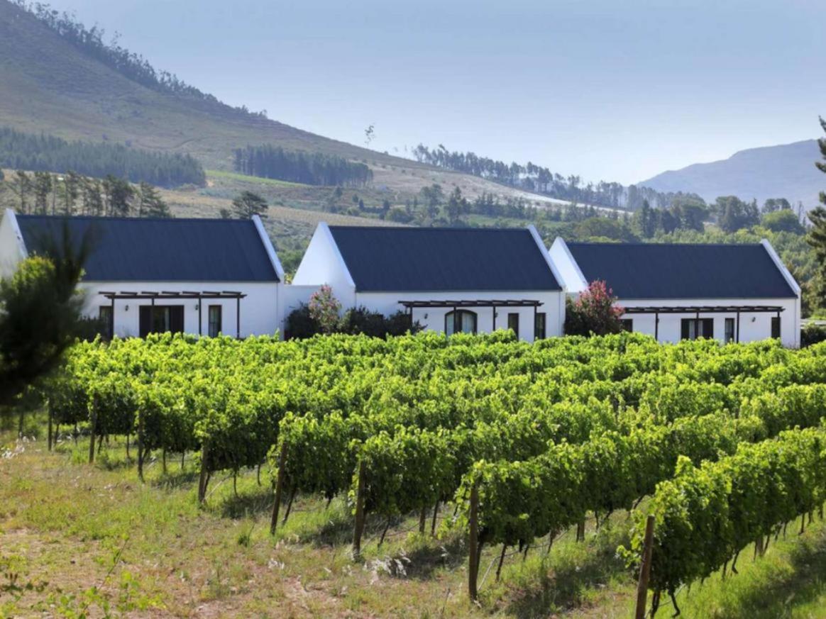 Chambray Estate - The Terraces In The Vines Bed & Breakfast Franschhoek Exterior photo