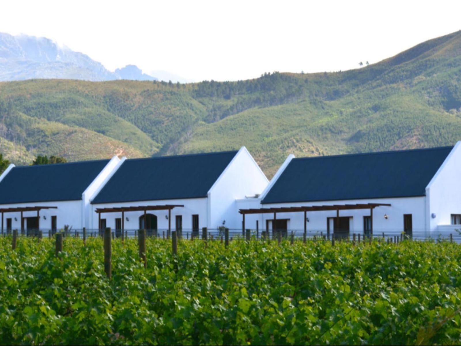 Chambray Estate - The Terraces In The Vines Bed & Breakfast Franschhoek Exterior photo