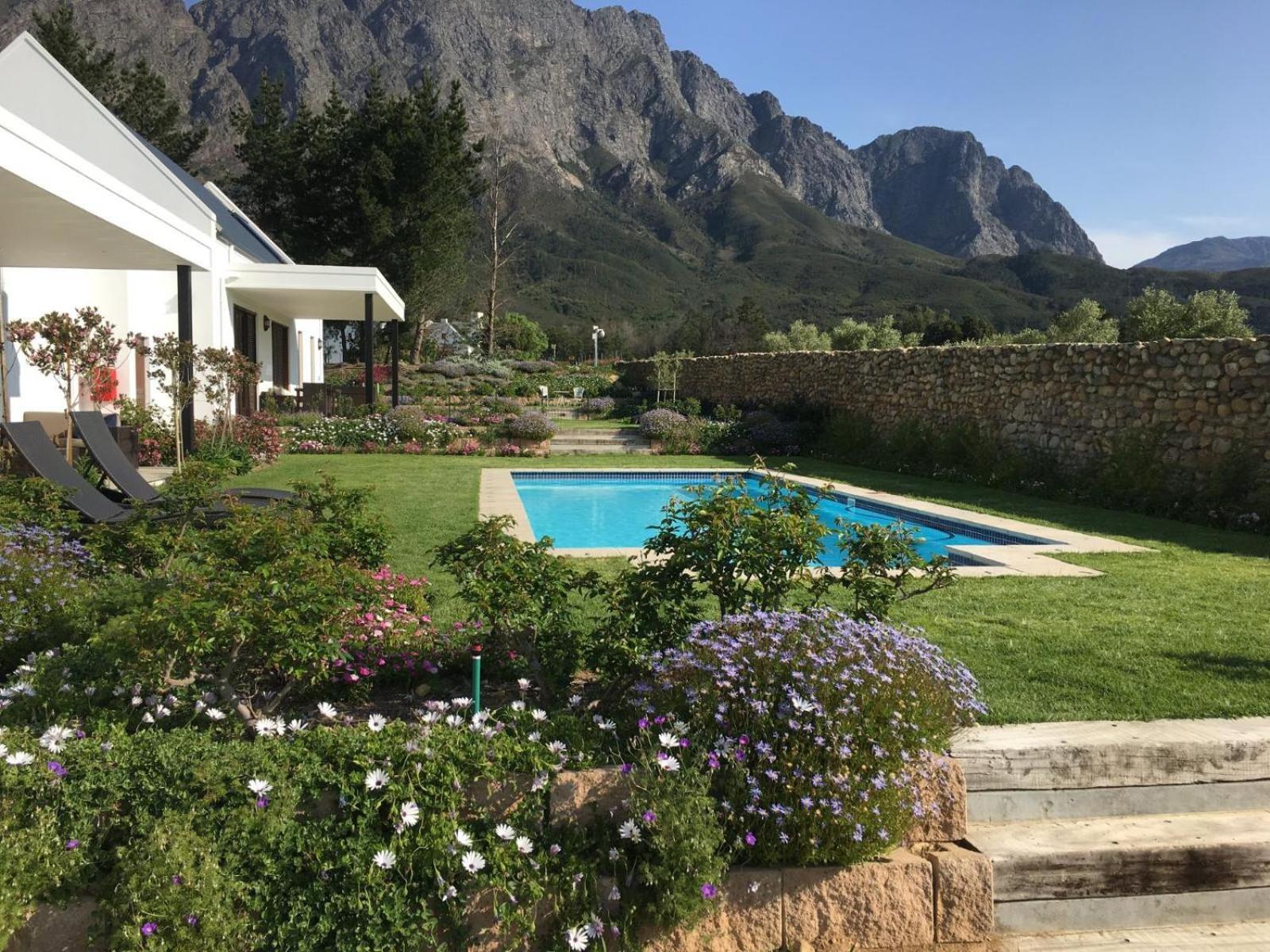 Chambray Estate - The Terraces In The Vines Bed & Breakfast Franschhoek Exterior photo