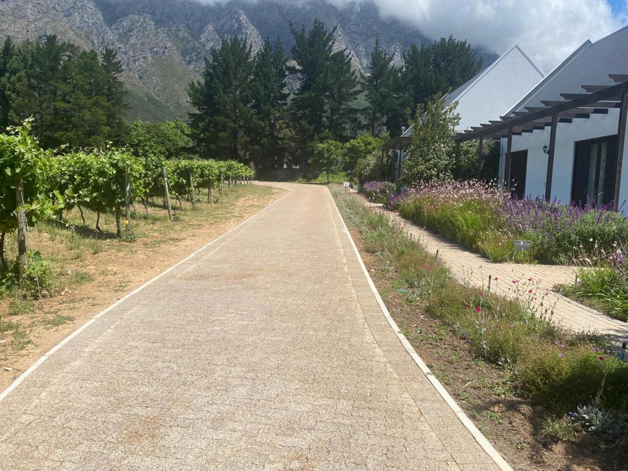 Chambray Estate - The Terraces In The Vines Bed & Breakfast Franschhoek Exterior photo